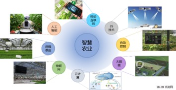互聯網+農業 托比研究2015年B2B行業報告